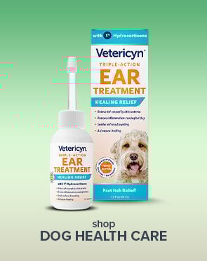 Dog Health Care